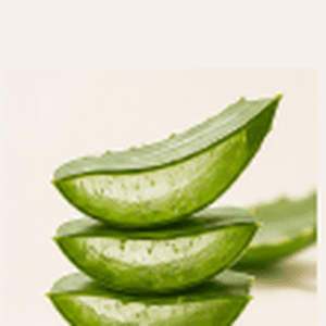 Organic Aloe Barbadensis Leaf